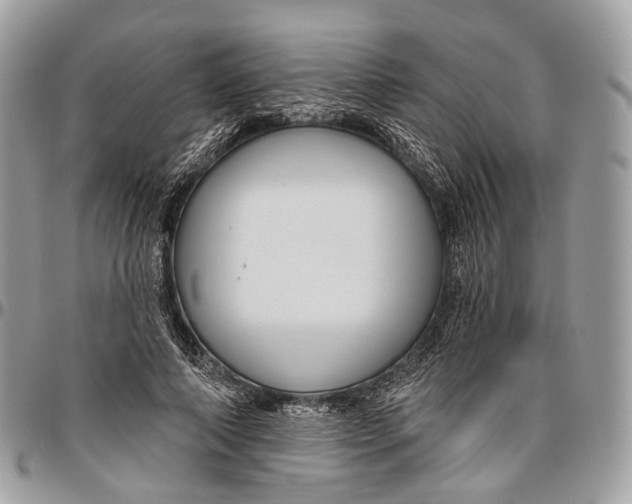 X0000096470690200802141658