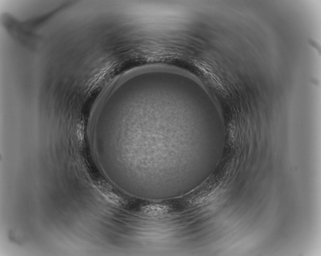 X0000096470691200802141658