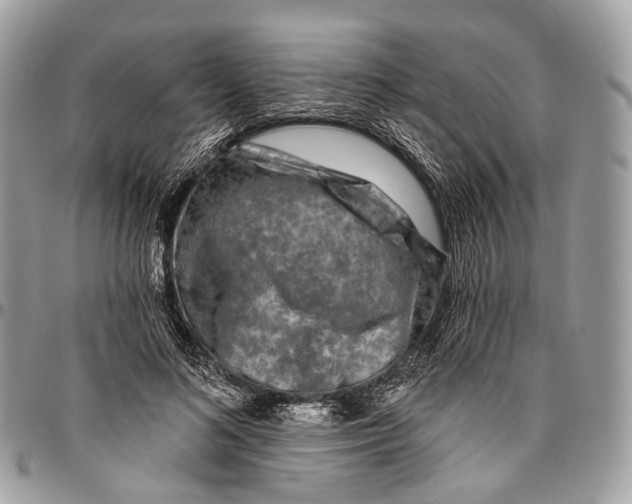 X0000096470692200802141658