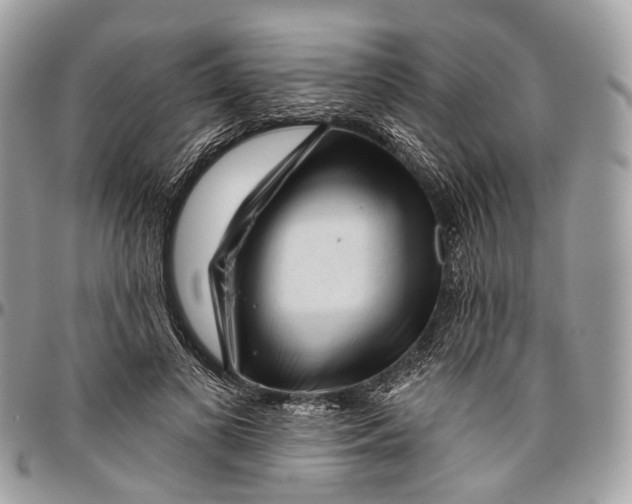 X0000096470693200802141658