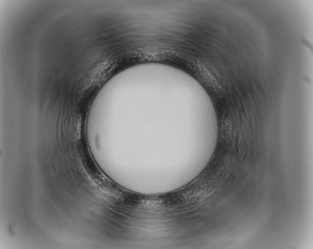 X0000096470694200802141658