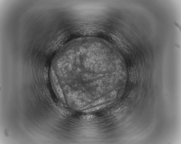 X0000096470695200802141658