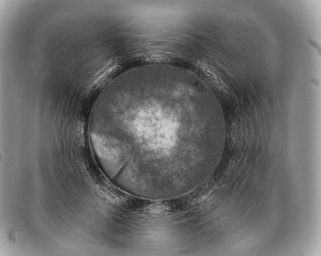 X0000096470696200802141658