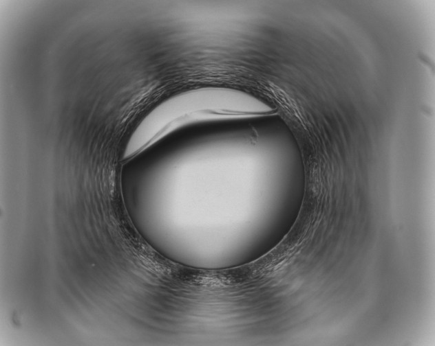 X0000096470697200802141658