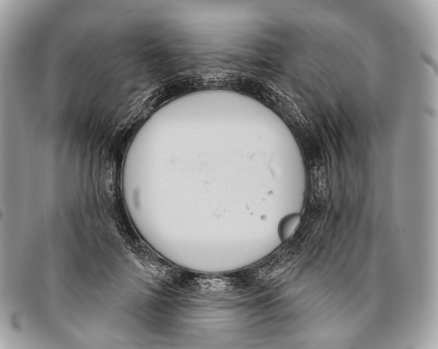 X0000096470698200802141658