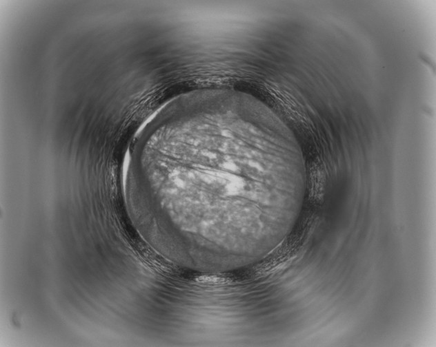 X0000096470699200802141658