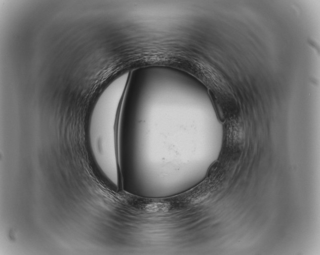 X0000096470700200802141658