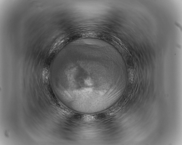 X0000096470701200802141658