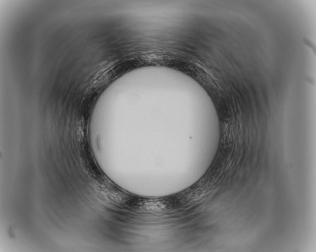 X0000096470702200802141658