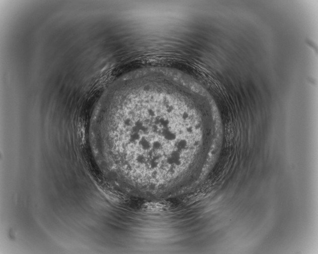 X0000096470703200802141658