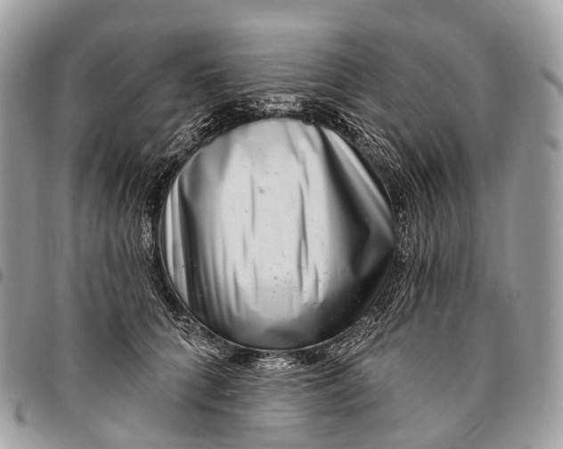 X0000096470704200802141658