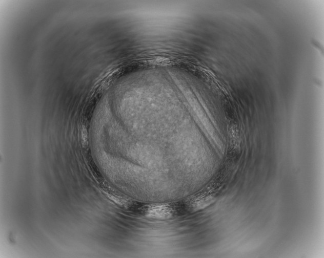 X0000096470705200802141658