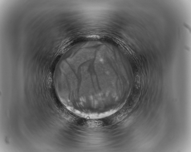 X0000096470707200802141658