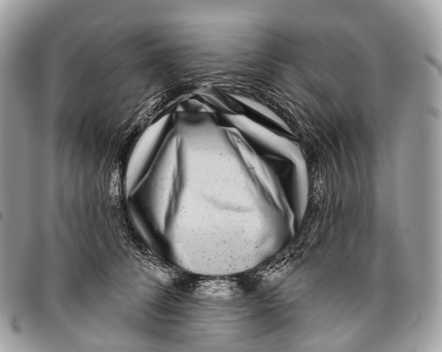 X0000096470708200802141658