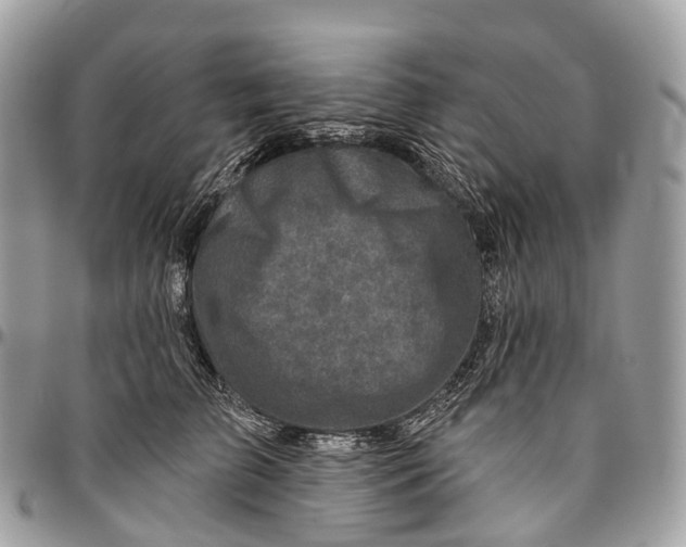 X0000096470709200802141658