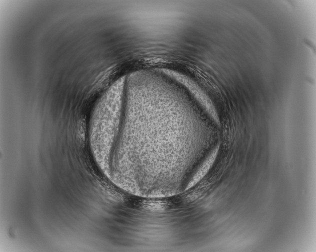 X0000096470710200802141658