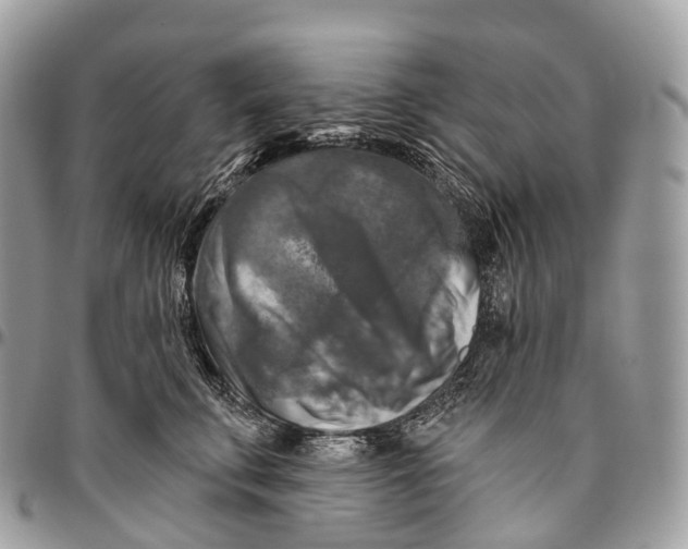 X0000096470711200802141658