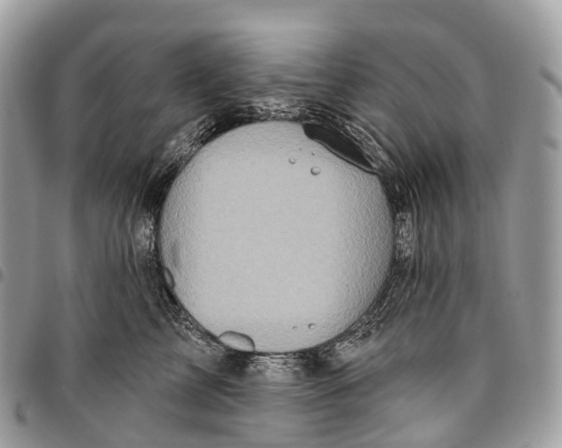 X0000096470713200802141658