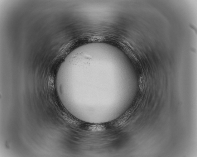 X0000096470714200802141658