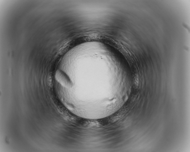 X0000096470715200802141658