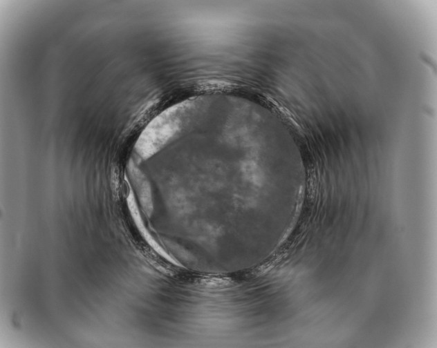 X0000096470716200802141658