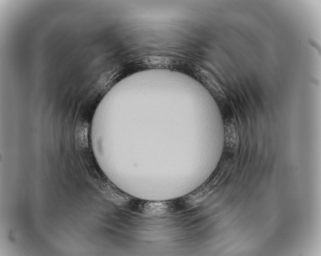 X0000096470717200802141658