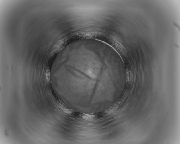 X0000096470718200802141658