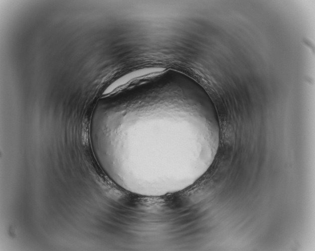 X0000096470719200802141658