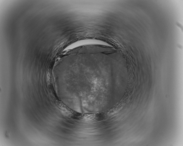 X0000096470720200802141658