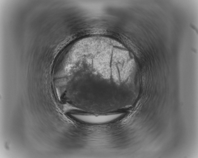 X0000096470721200802141657