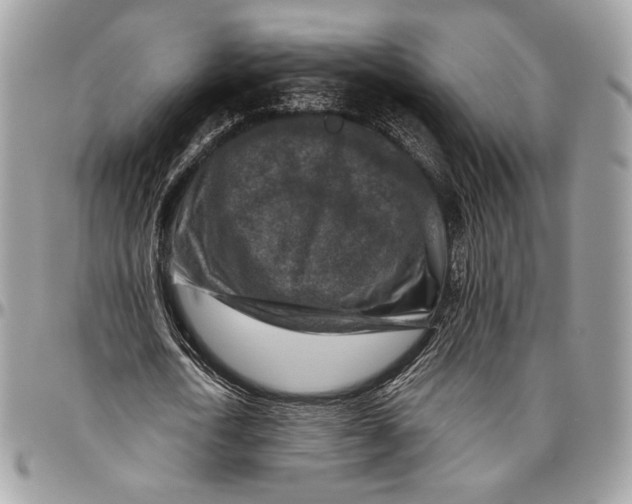 X0000096470722200802141657