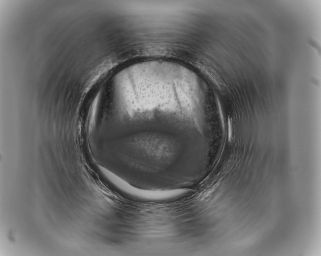 X0000096470723200802141657