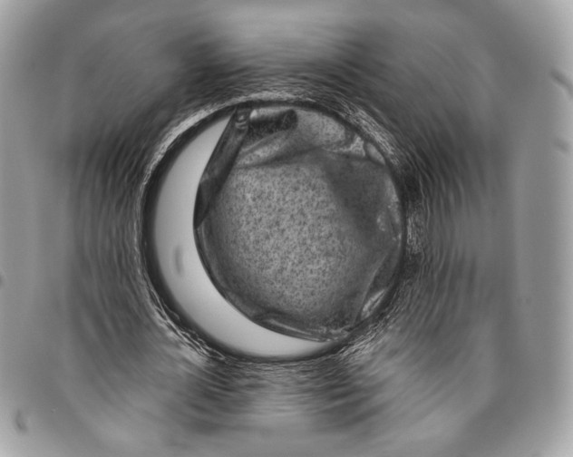 X0000096470724200802141657