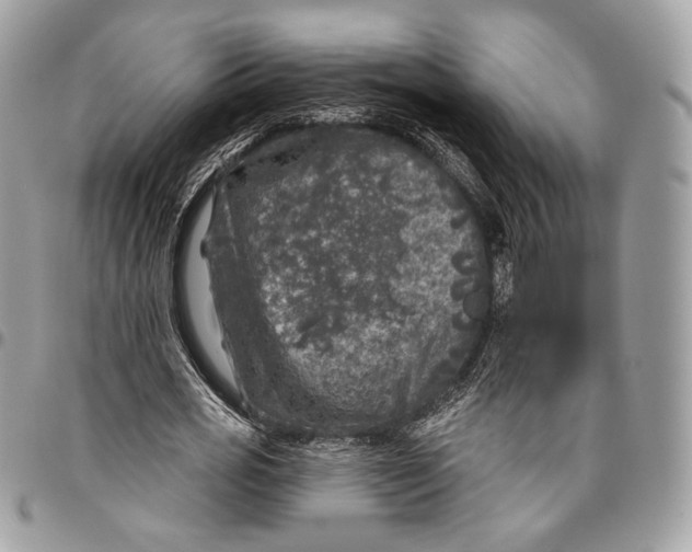 X0000096470725200802141657