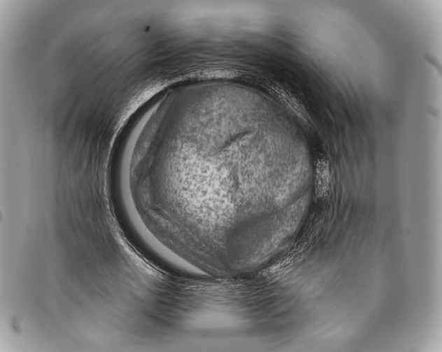 X0000096470726200802141657