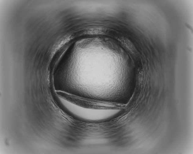 X0000096470727200802141657