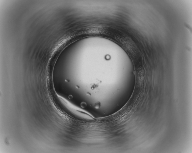 X0000096470728200802141657