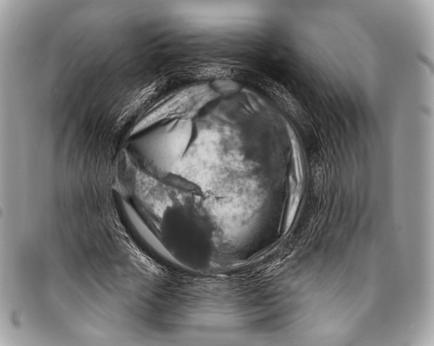 X0000096470729200802141657