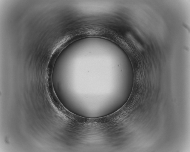 X0000096470730200802141657