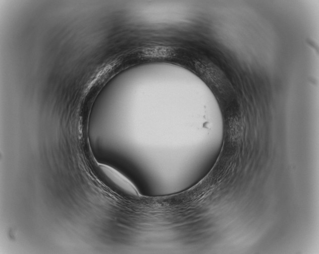 X0000096470731200802141657