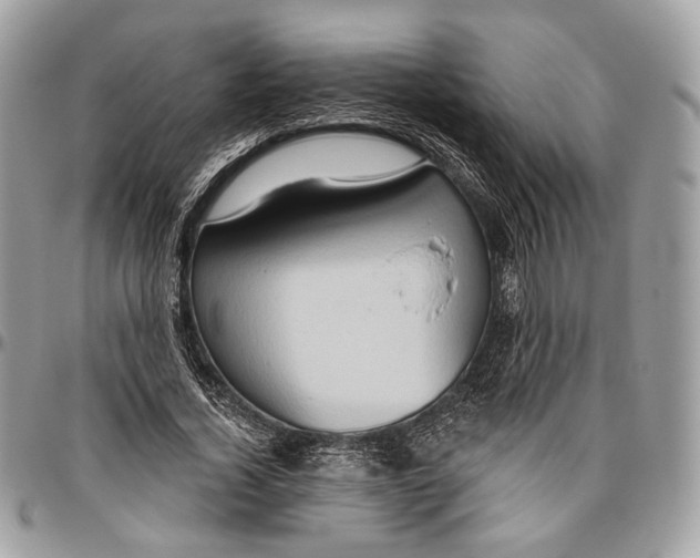 X0000096470732200802141657