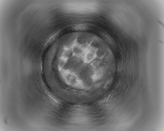 X0000096470733200802141657