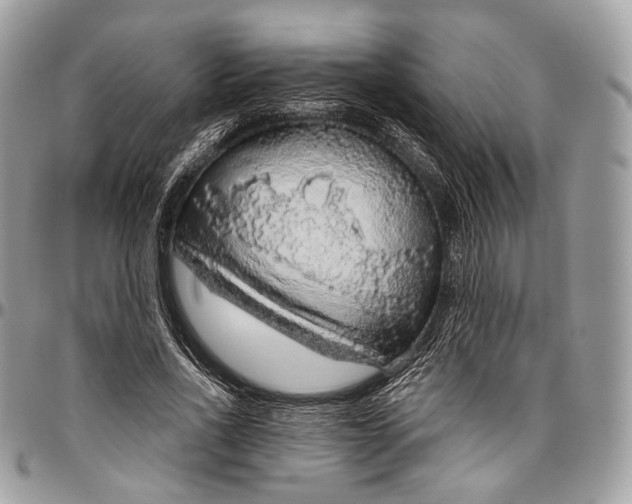 X0000096470734200802141657