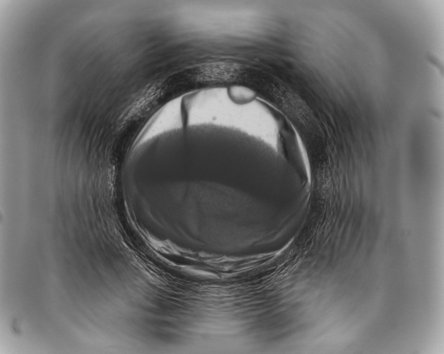 X0000096470735200802141657