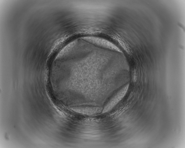 X0000096470736200802141657