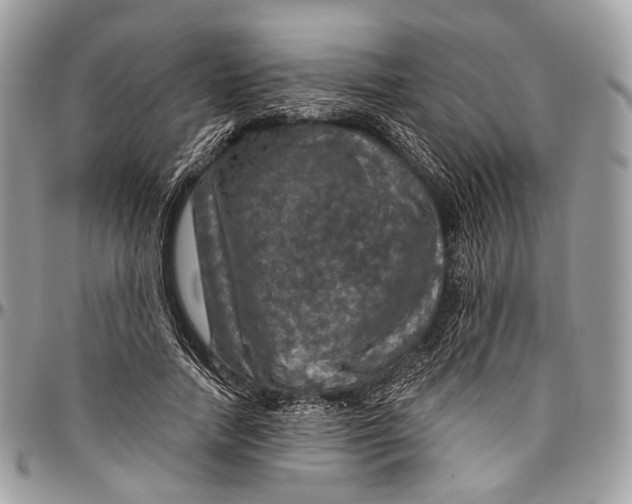 X0000096470738200802141657