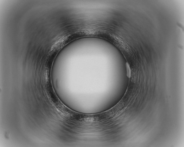 X0000096470740200802141657