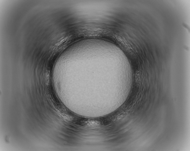 X0000096470741200802141657