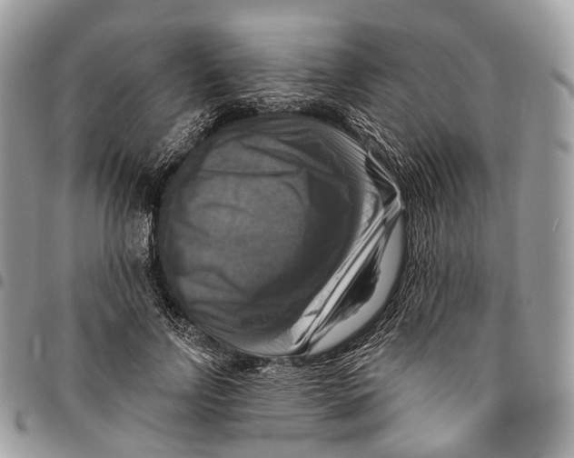 X0000096470742200802141657