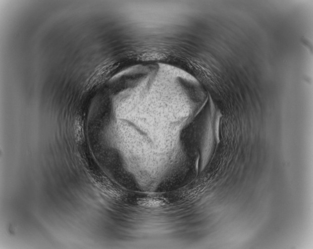 X0000096470743200802141657